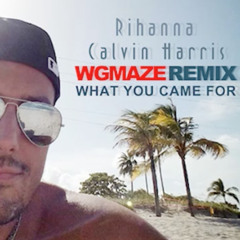 Calvin Harris & Rihanna - This Is What You Came For (WGMAZE) Remix