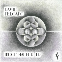 David Delgado - Moonstalker (Original Mix)
