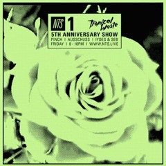 Pinch on NTS