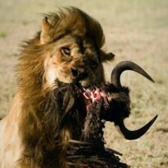 What's the Differnce