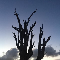 Eternal Wound