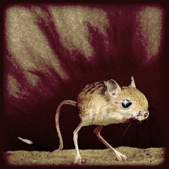 Le retour de la gerboise