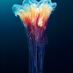 future sex love sounds