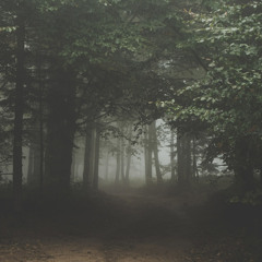 Walk in the Forest [Acoustic, Folk, Cinematic] (Background Music for Videos)