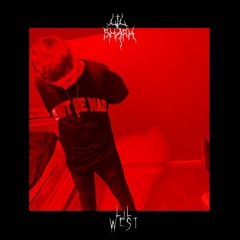 lil shark & lil west - air force ones