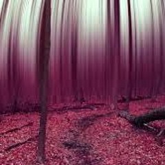 Psychedelic City - Lil Uminati