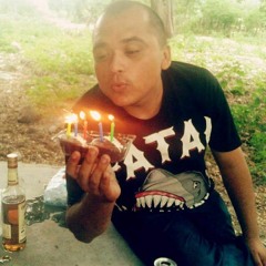 Bolo Diler - No se fracasa si existe un comienzo