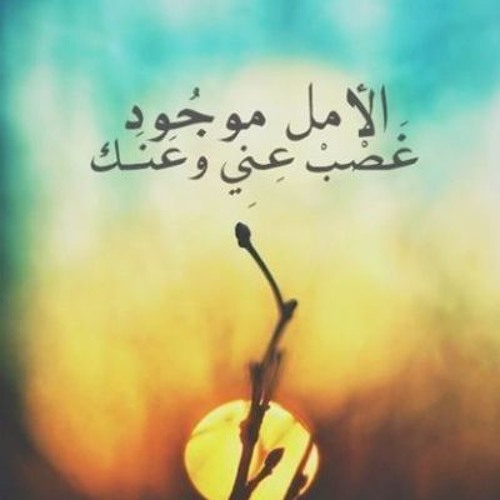 موال زماني موصي عليا اداء صوتي حسني وزة