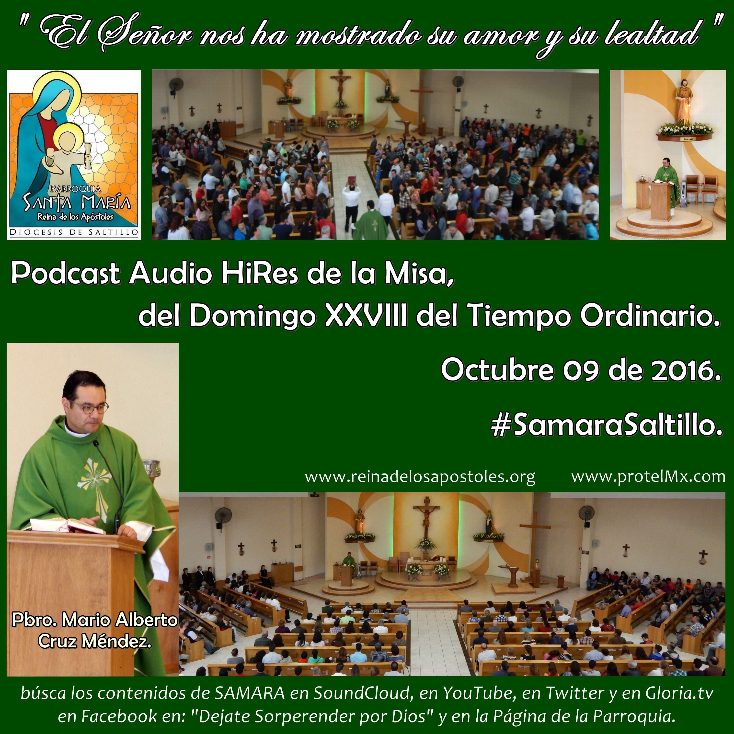 SAMARA_Saltillo #2019