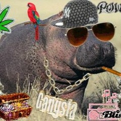 Hiphoppotamus