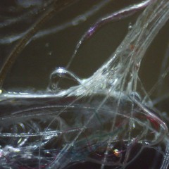 I Scream for Ice Cream - by Tupperwear