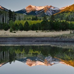 New private playlist