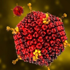 I Spy With My Manky Eye