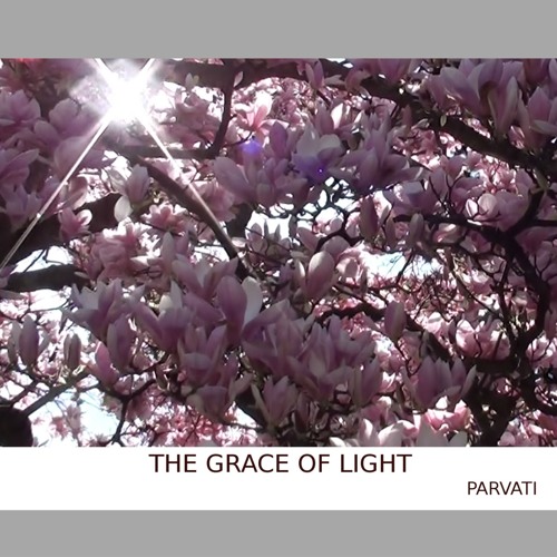 02. Pavan Guru
