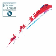Barnaby Carter - Basti on BBC 6 Music (While It Still Blooms - Project: Mooncircle, 2016)