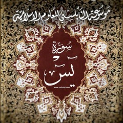 Yaseen2  سورة يس - الدرس (2-7): تفسير االآيات 13-32، من وجد توجيهاً يتناقض مع توجيه إلهي فلا يعبأ به