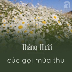 Hà Nội Mười Hai Mùa Hoa Beat