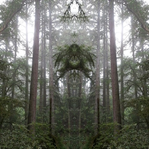 Dark Matter Mix