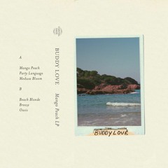 A2 / Buddy Love - Party Language