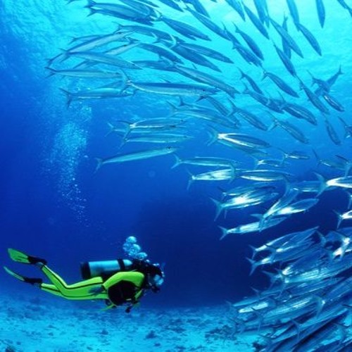 Contenção - Don TGT feat. Marinho e Sampa UBR (Prod. Wty)