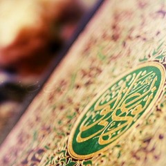 سورة النور - منصور السالمي