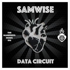 TMM016 : Samwise - Data Circuit (Original Mix)