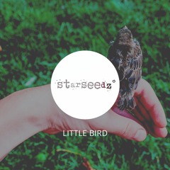 Little Bird