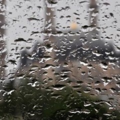 Yağmur Sesi - Meditasyon Müzikleri [HD]