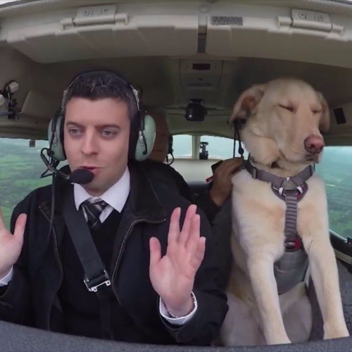 Milo Stewart and Other News: Pilot Part 5