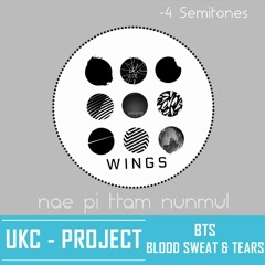 [INSTRUMENTAL COVER] BTS - 피 땀 눈물 (Blood Sweat & Tears) (-4 Semitones Key)