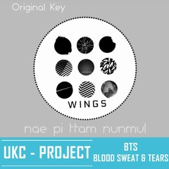 [INSTRUMENTAL COVER] BTS - 피 땀 눈물 (Blood Sweat & Tears) (Original Key)