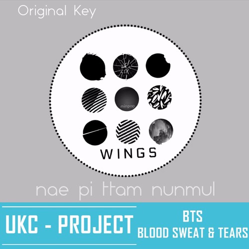 Indiferencia paso pivote Stream [INSTRUMENTAL COVER] BTS - 피 땀 눈물 (Blood Sweat & Tears) (Original  Key) by U.K.C Project | Listen online for free on SoundCloud