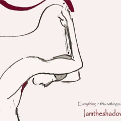 IAMTHESHADOW - There Is Nothing More To See