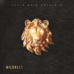 ERVIN MAIN - Wildness (Original Mix)