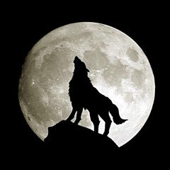 Bitter Moon