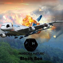 Pandora - Black Box