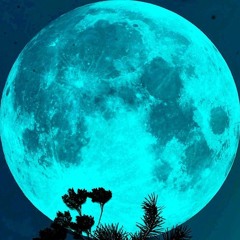 Space Mashrooms .wav