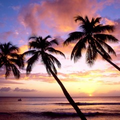 Shady Ft Bone & Nola