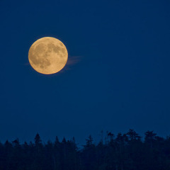 Her Name Was Summer And She Loved The Moon