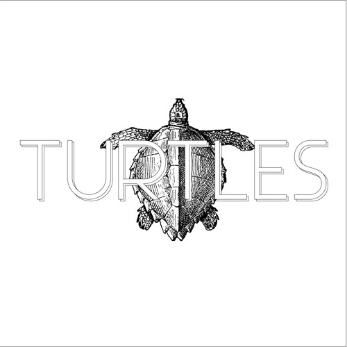TURTLES (PRODUCED BY FLYING LOTUS)