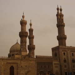 Ohnesorg - Mokka & Kardamom