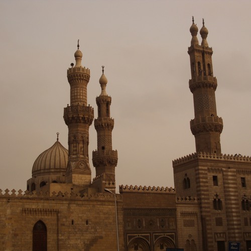 Ohnesorg - Mokka & Kardamom