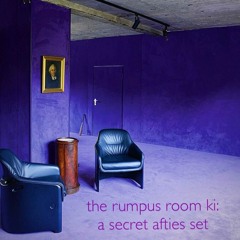the rumpus room ki: a secret afties set