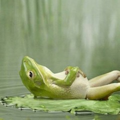 Chill Out
