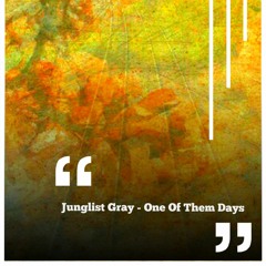 Junglist Gray - One Of Them Days