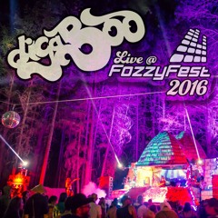 digaBoo Live at FozzyFest 2016
