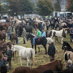 Ballinasloe Horse Fair 1.WAV