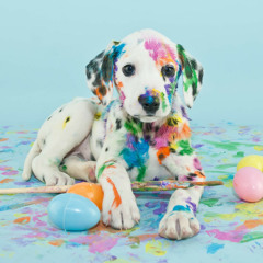 Cute Egg Dog