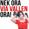 Download Via Vallen - Suket Teki (OM Sera Live) Via Vallen - Suket Teki (OM Sera Live)