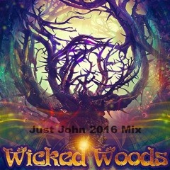 Wicked Woods Music Festival 2016 Mix